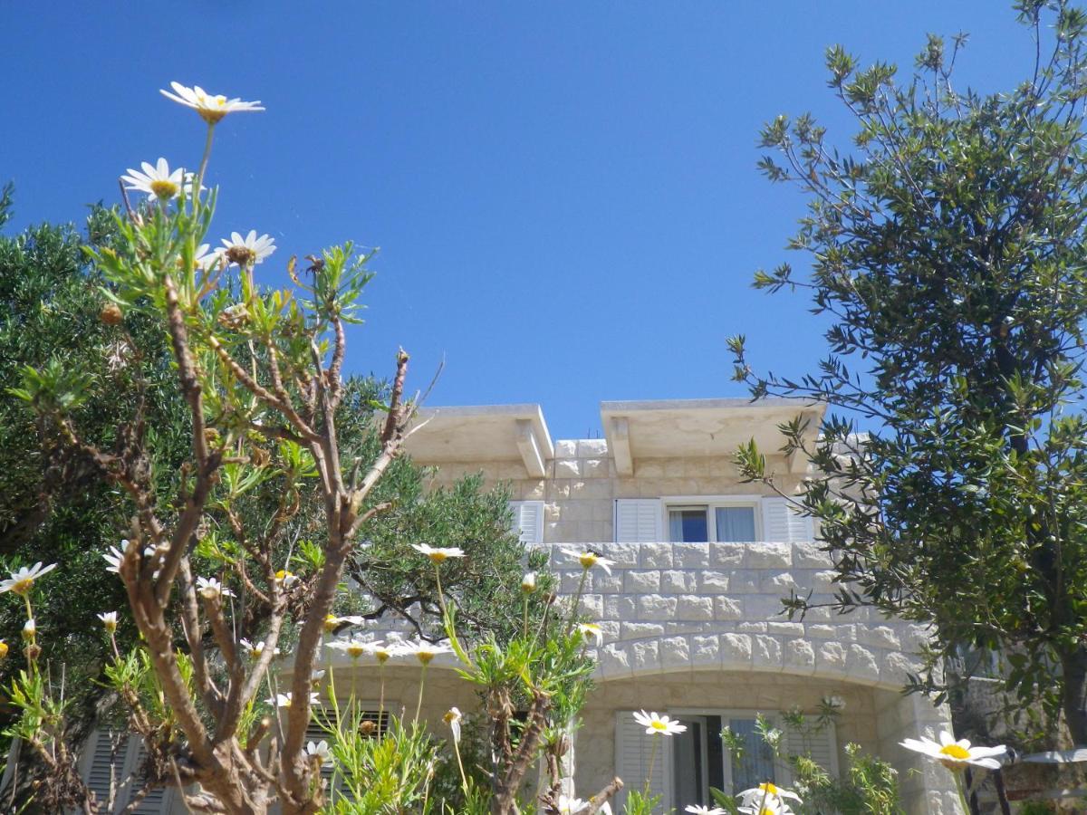 חוואר Apartment Buzolic מראה חיצוני תמונה